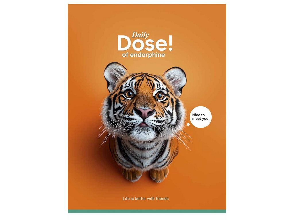 Зошит загальний Daily Dose, А5, 80 аркушів, у лінію, УФ-лак, 4 види (ціна за 1шт), Школярик