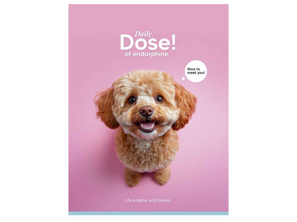 Зошит загальний Daily Dose, А5, 80 аркушів, у лінію, УФ-лак, 4 види (ціна за 1шт), Школярик