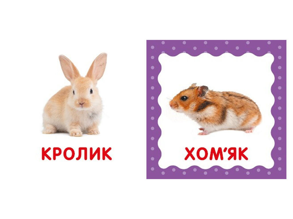 Перша книжка малюка Свійські тварини, 110х110 мм, ZIRKA