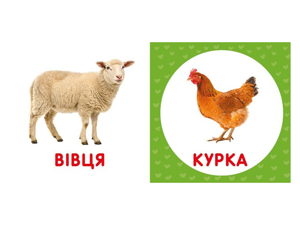 Перша книжка малюка Свійські тварини, 110х110 мм, ZIRKA
