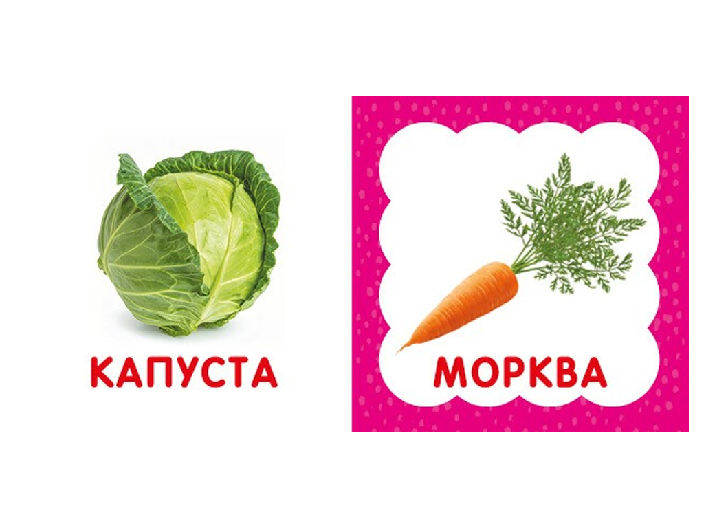Перша книжка малюка Фрукти й овочі, 110х110 мм, ZIRKA
