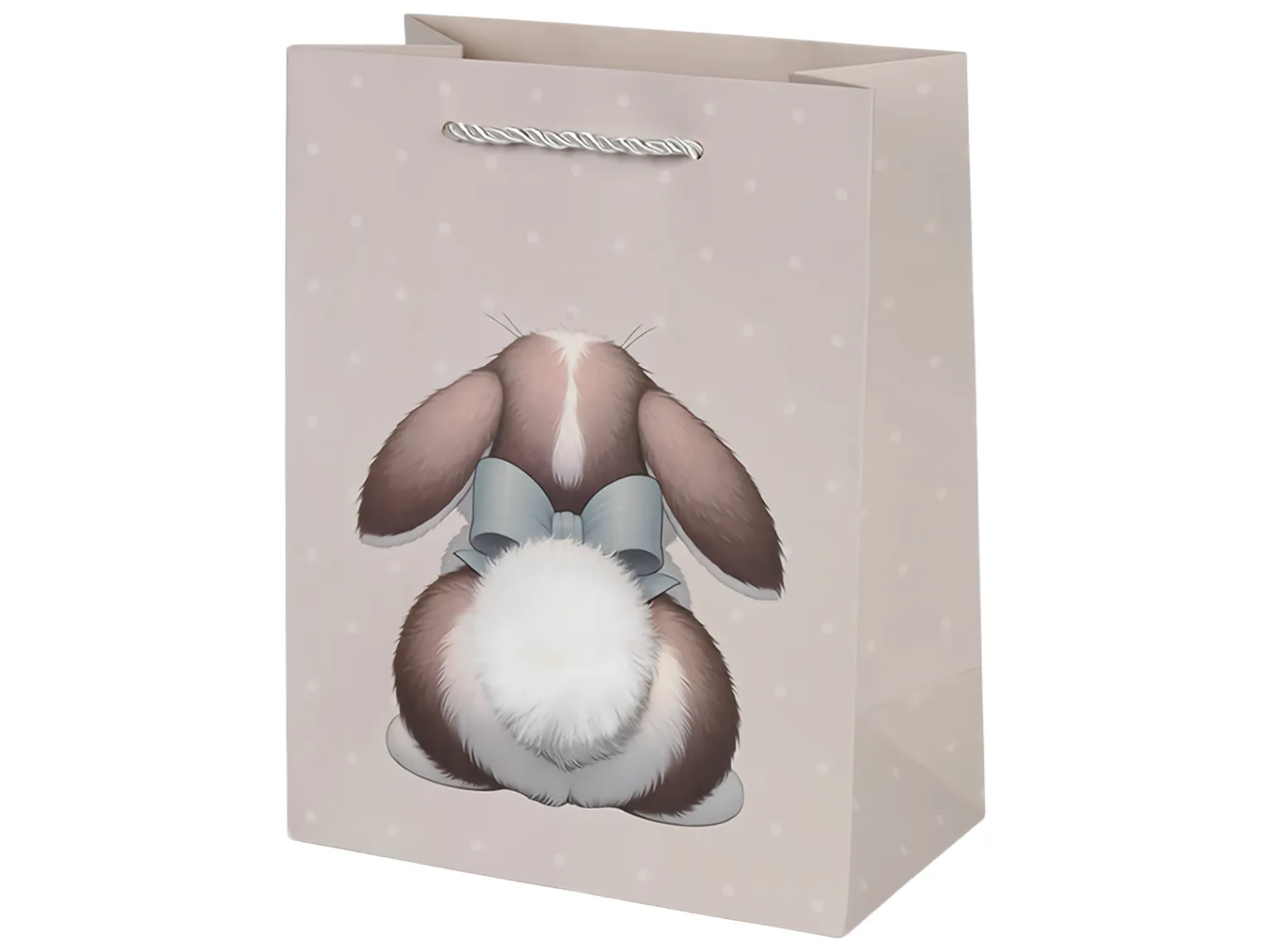 Подарочный пакет Tail M, бумажный, 19,5×24,5×10 см, 4 дизайна (цена за 1шт)