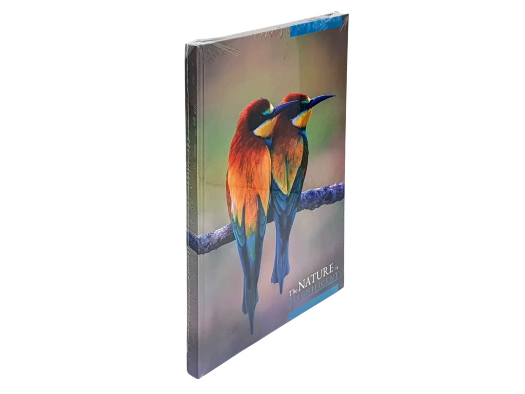 Книга канцелярська Престиж Яскраві пташки А4, 96 аркушів клітина, Аркуш 1В2774