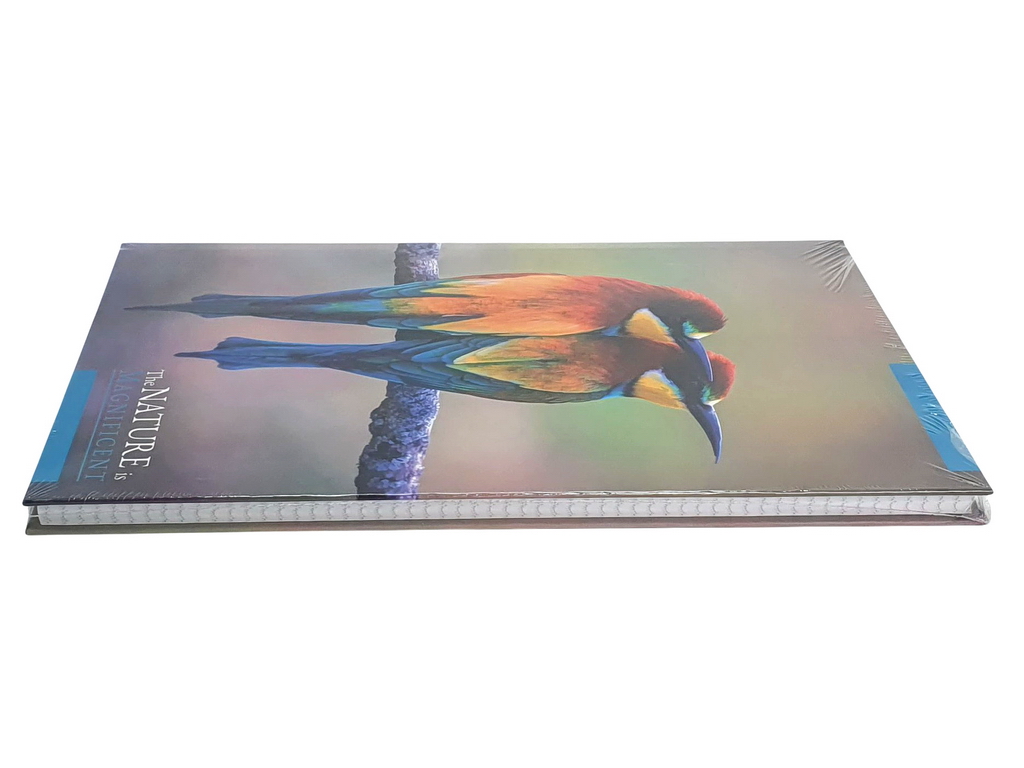 Книга канцелярська Престиж Яскраві пташки А4, 96 аркушів клітина, Аркуш 1В2774