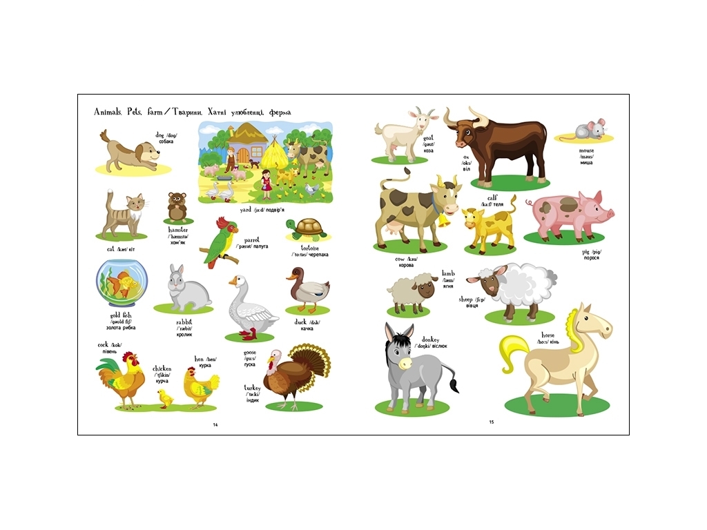 Візуальний словник "English for Kids. Книжка англійських слів у малюнках", Н. Коваль, АРТ