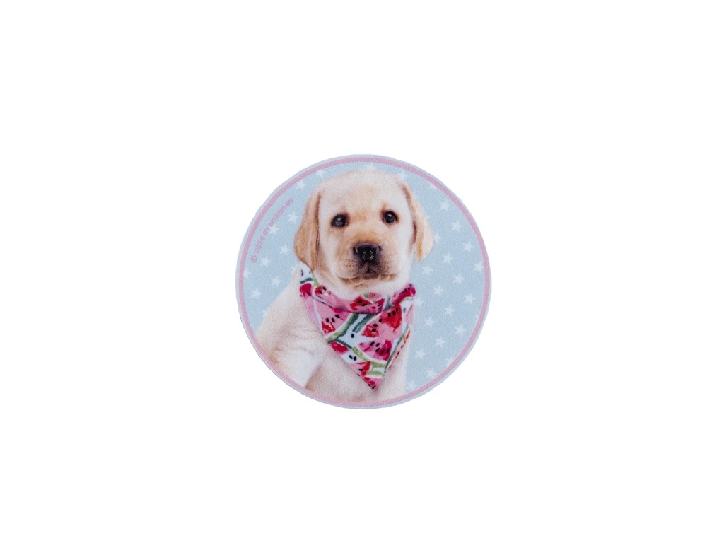 Бейдж на липучке Studio Pets, Kite
