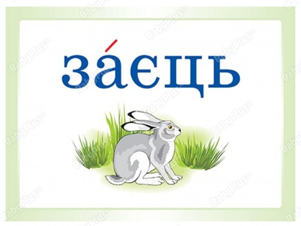 Карточки «Словарные слова в ребусах» 2 класс, О. Ю. Харченко, Основа
