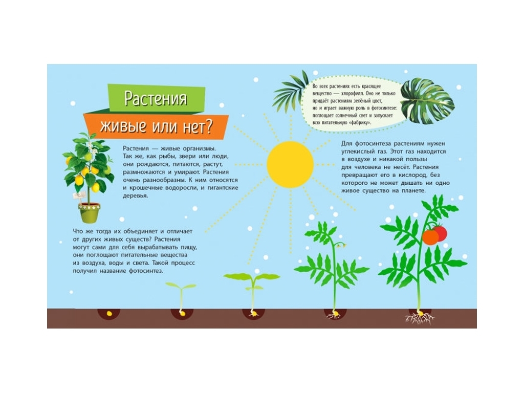 Энциклопедия-серия «Почемучки» Растения, 3+, Анна Булгакова, Ранок