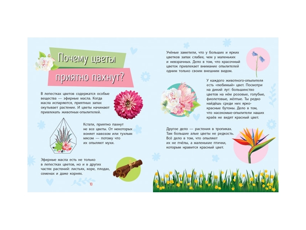 Энциклопедия-серия «Почемучки» Растения, 3+, Анна Булгакова, Ранок
