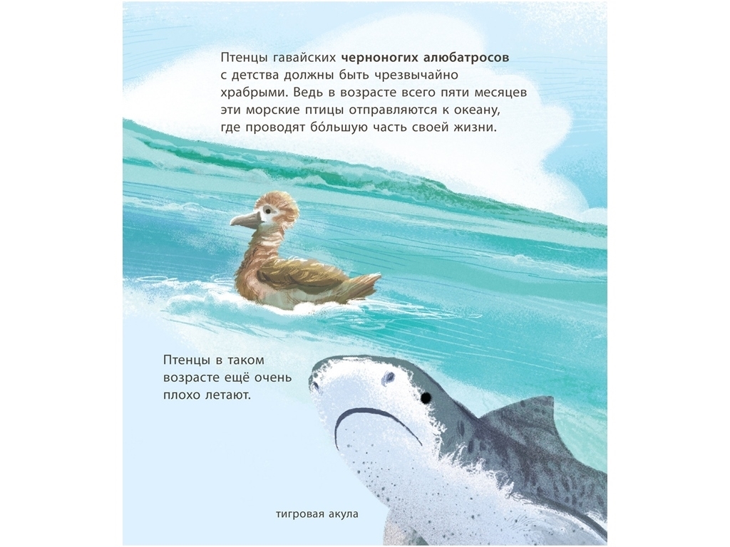 Энциклопедия "Удивительные детёныши животных", К. Пакхэм, Дж. Кокрофт, Ранок
