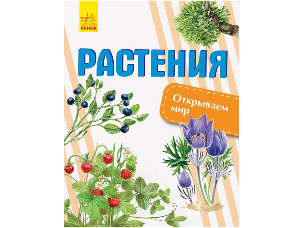 Энциклопедия-пособие "Растения. Открываем мир", возраст 7-10, О. В. Котенко, Ранок