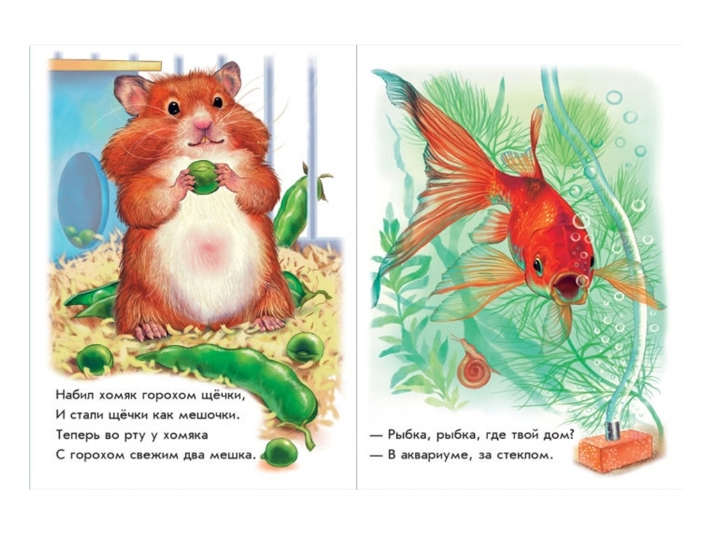 Книга "Поруч із нами", збірник, 2+, Г. Меламед, Ранок