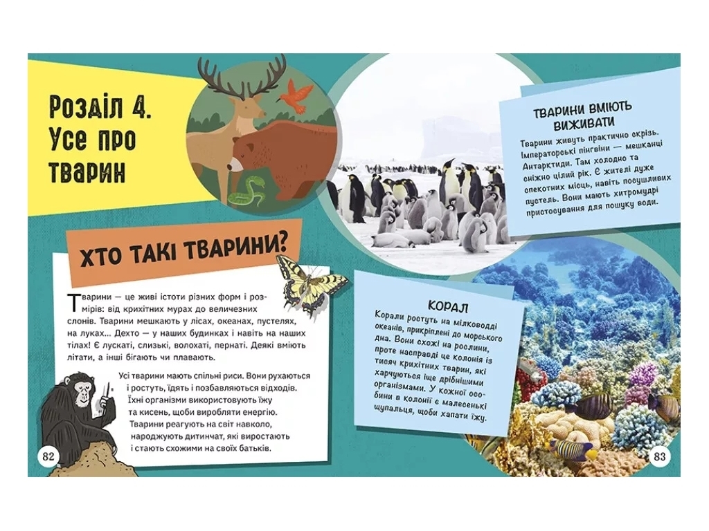 Энциклопедия "Довколапитан. Энциклопедия юных умников", 6-10 лет, Нэнси Дикман, Ранок