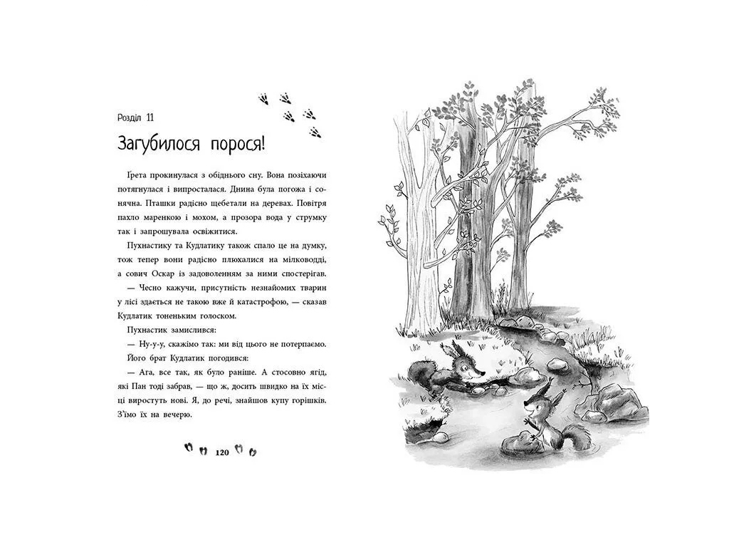 Повесть "Лес необычных животных", Э. Беннет, Ранок