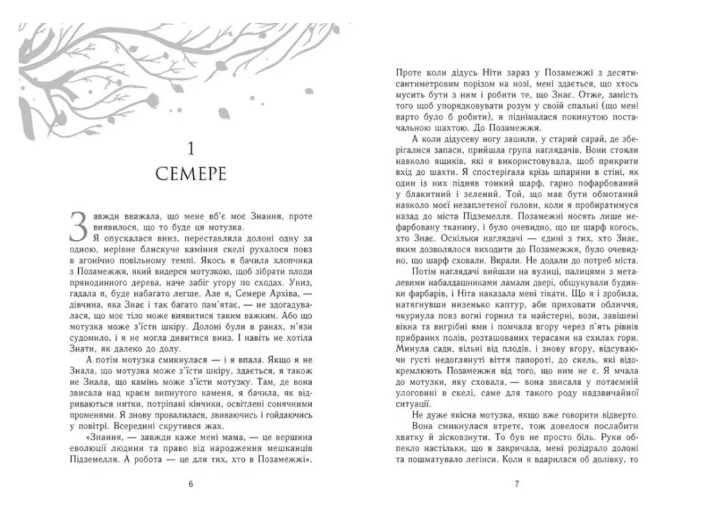 Роман "Знання", 16–18, Шерон Камерон, Readberry