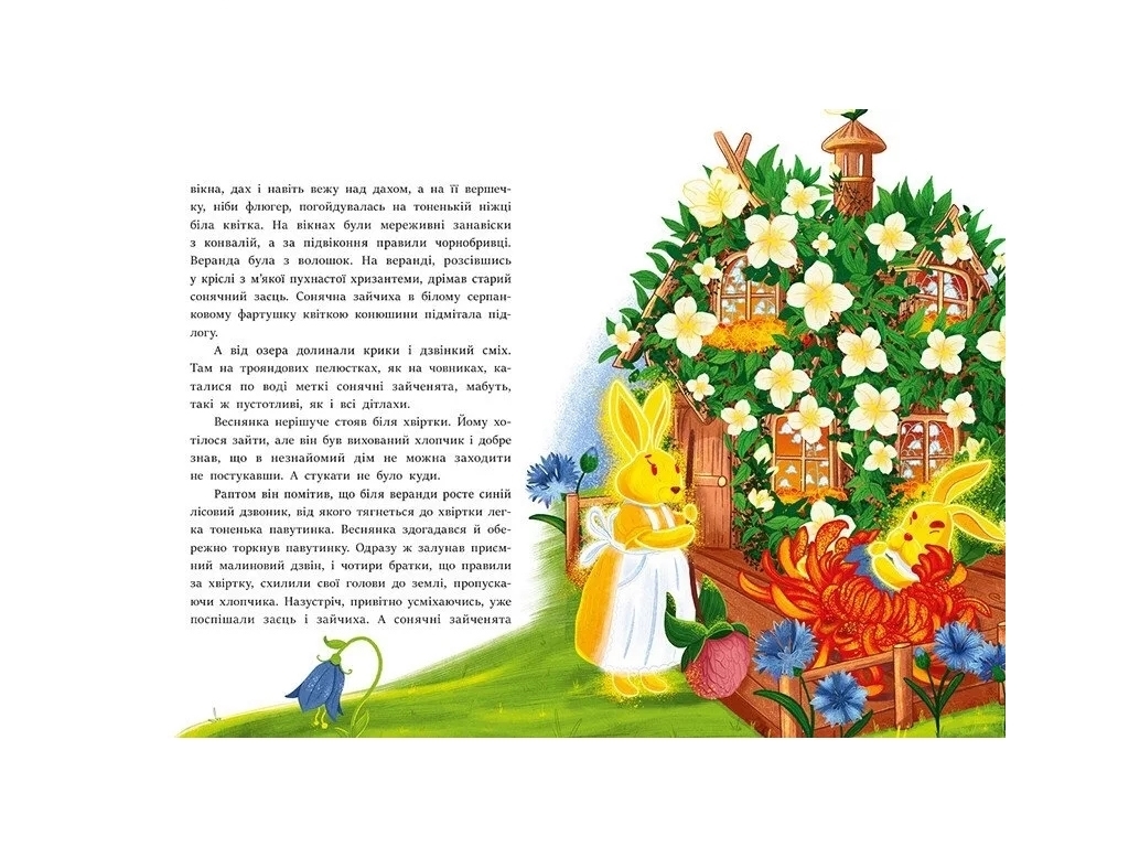 Повесть "В Стране Солнечных Зайчиков", В. Нестайко, Ранок