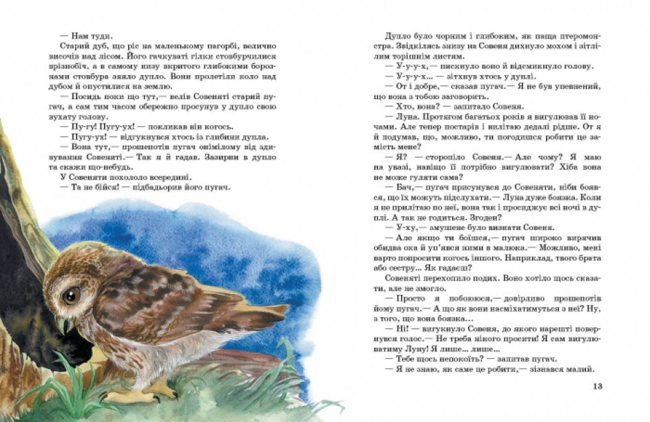 Сказка, "Совенок, который водил на прогулки Луну", Ева Солская, Ранок