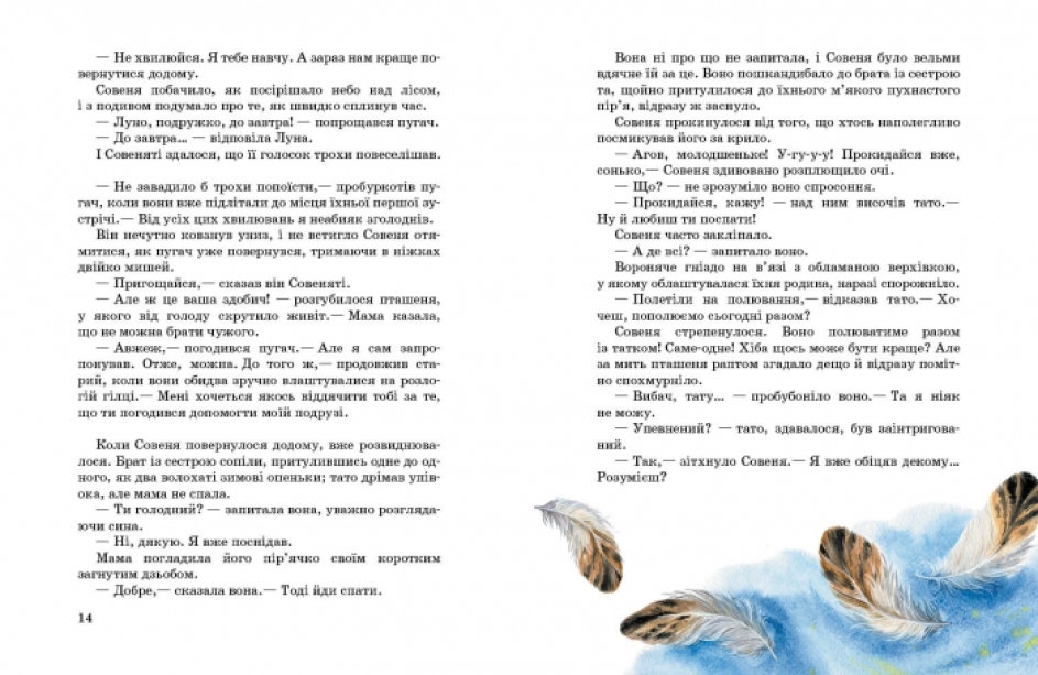 Сказка, "Совенок, который водил на прогулки Луну", Ева Солская, Ранок