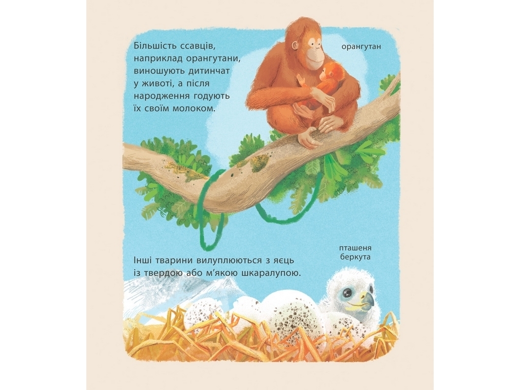 Энциклопедия "Удивительные детеныши животных", Крис Пакхэм, Ранок