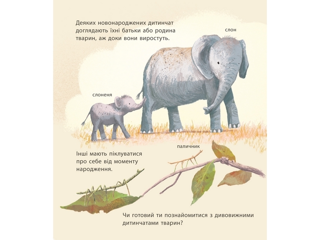 Энциклопедия "Удивительные детеныши животных", Крис Пакхэм, Ранок