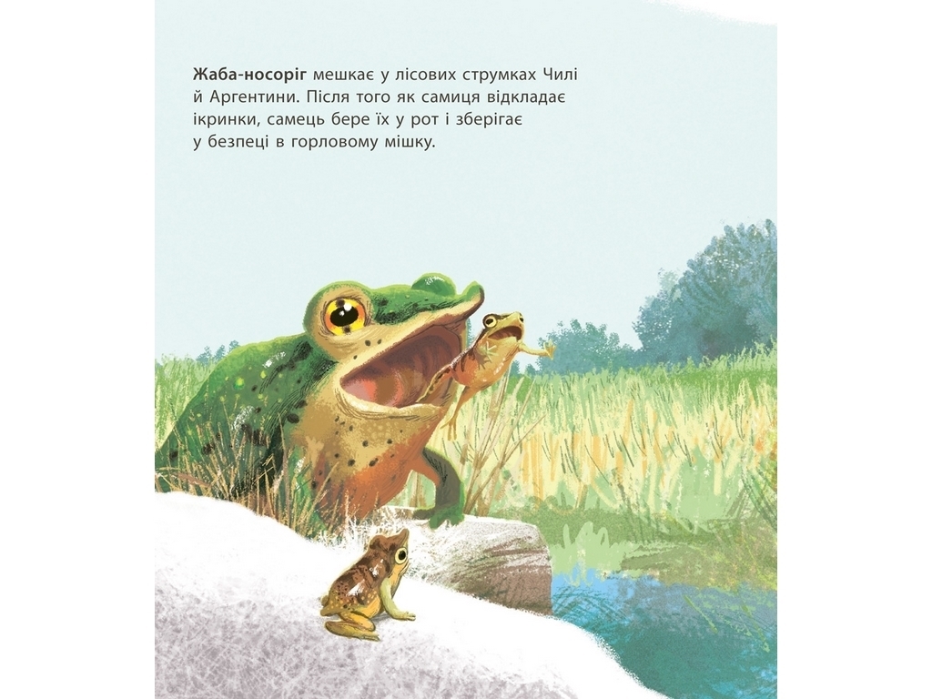 Энциклопедия "Удивительные детеныши животных", Крис Пакхэм, Ранок