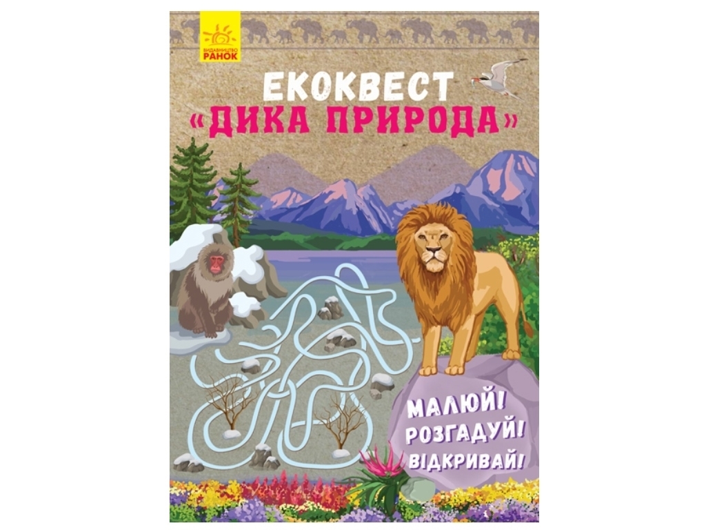Екоквест Дикая природа, Ранок