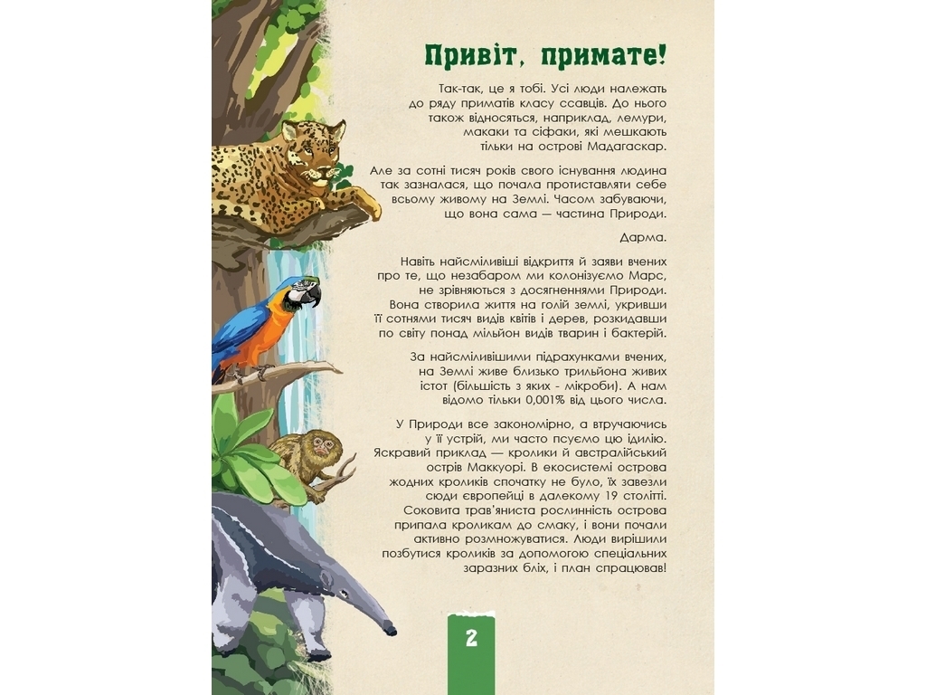 Екоквест Дикая природа, Ранок