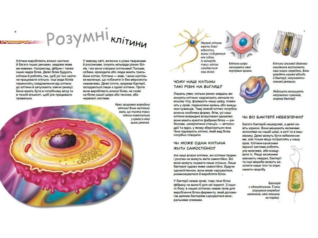 Энциклопедия "Гениальные гены", возраст 7-9, П. А. Боэрле, Н. Ланда, Ранок