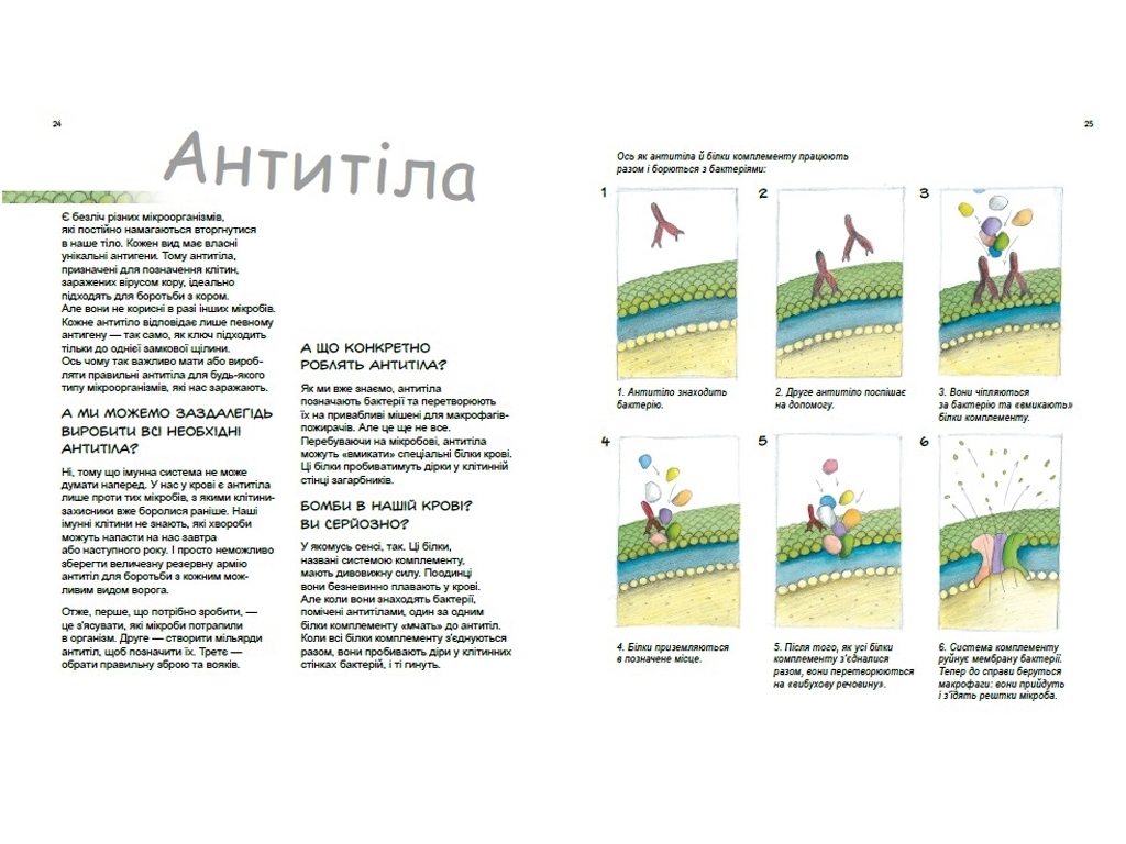 Энциклопедия "Герои и злодеи в нашем теле", 7-9 г., П. А. Боэрле, Н. Ланда, Ранок