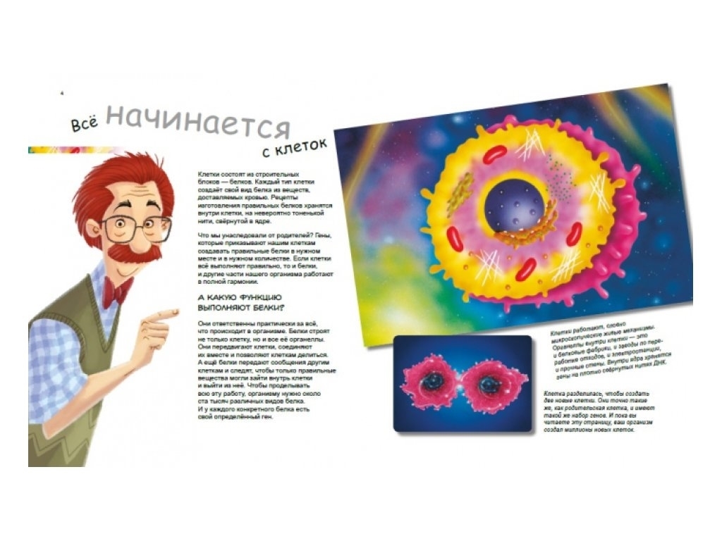 Енциклопедія “Х та Y, дівчинка або хлопчик?”, 7-9 р., П. А. Боерле, Н. Ланда, Ранок