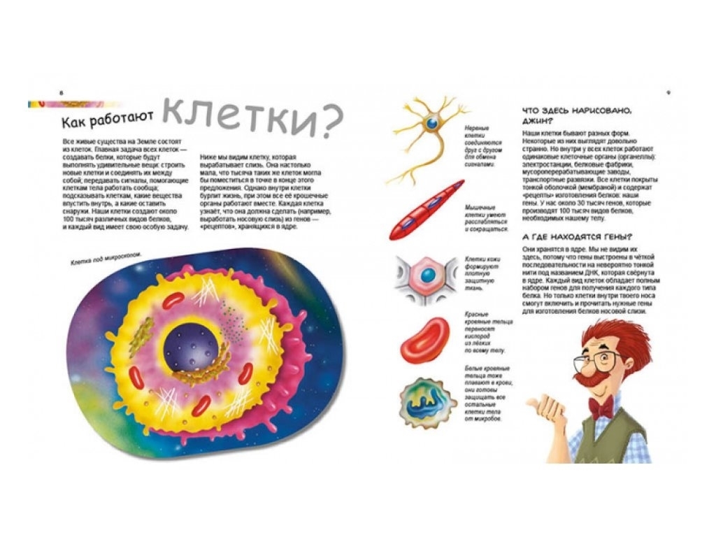 Энциклопедия "Герои и злодеи в нашем теле", 7-9 г., П. А. Боэрле, Н. Ланда, Ранок