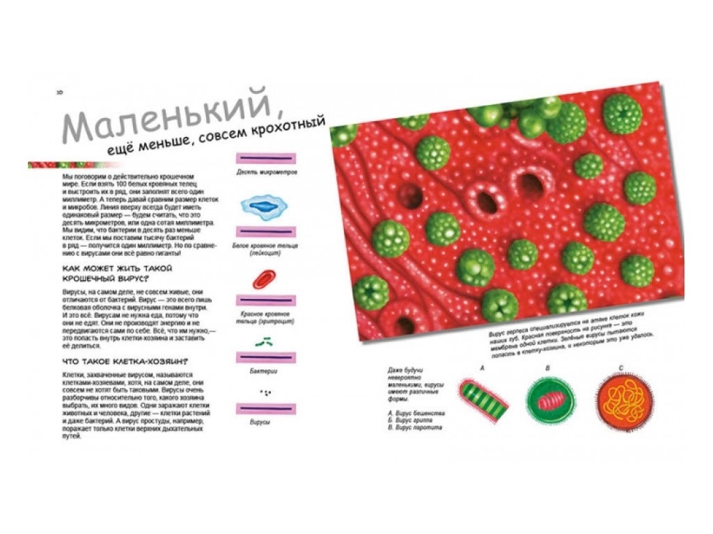 Энциклопедия "Герои и злодеи в нашем теле", 7-9 г., П. А. Боэрле, Н. Ланда, Ранок