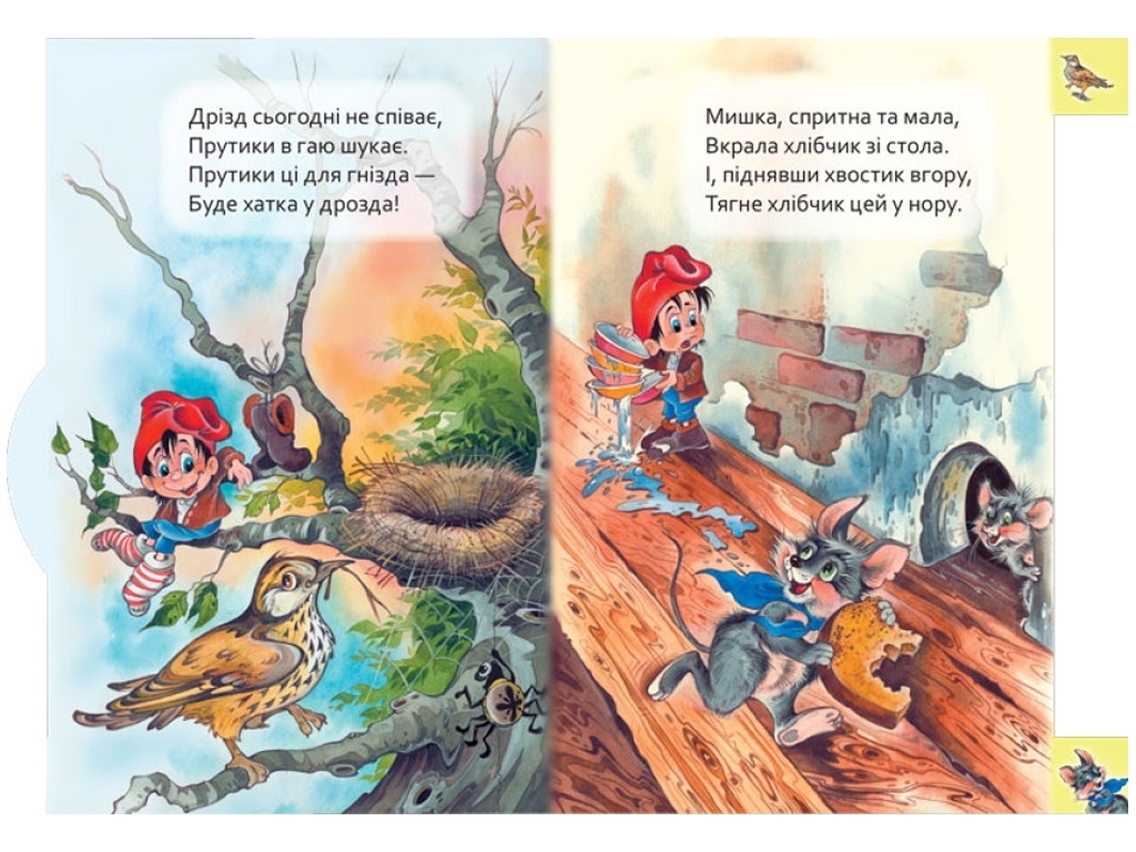 Книжка-картинка "Хто де живе", 10 сторінок, 2-4 роки, Ірина Сонечко, Ранок