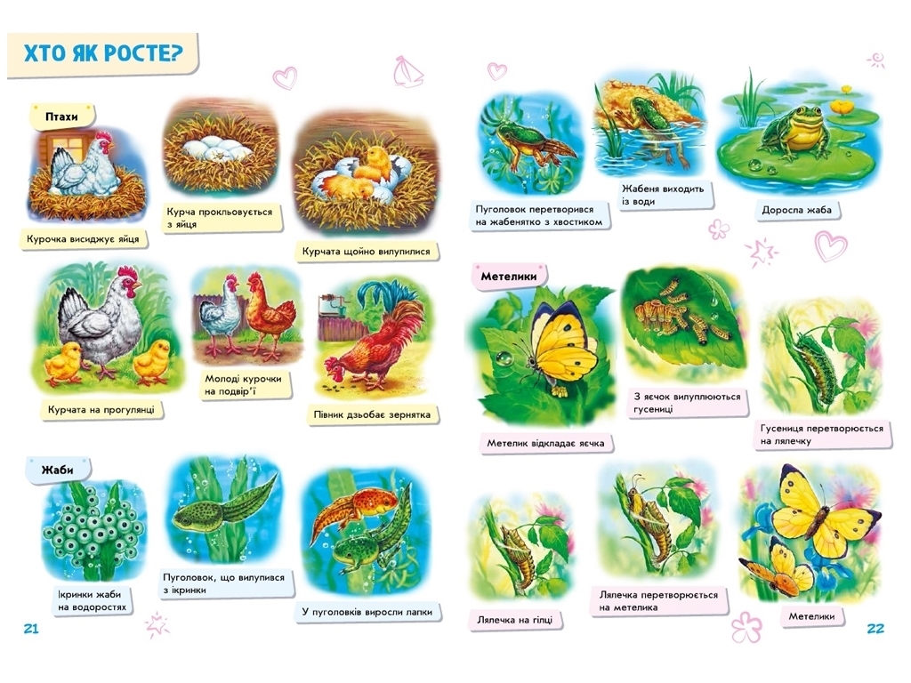Книга для малюків "Про все на світі", 2+, Ранок