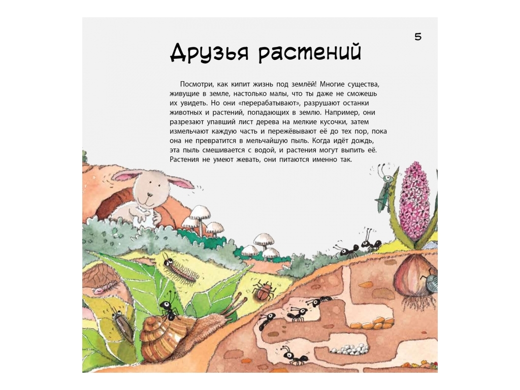 Дитяча енциклопедія "Наука говорить про Землю", Н. Рока, Р. Курто, Ранок