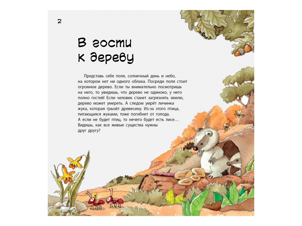 Дитяча енциклопедія "Наука говорить про Землю", Н. Рока, Р. Курто, Ранок
