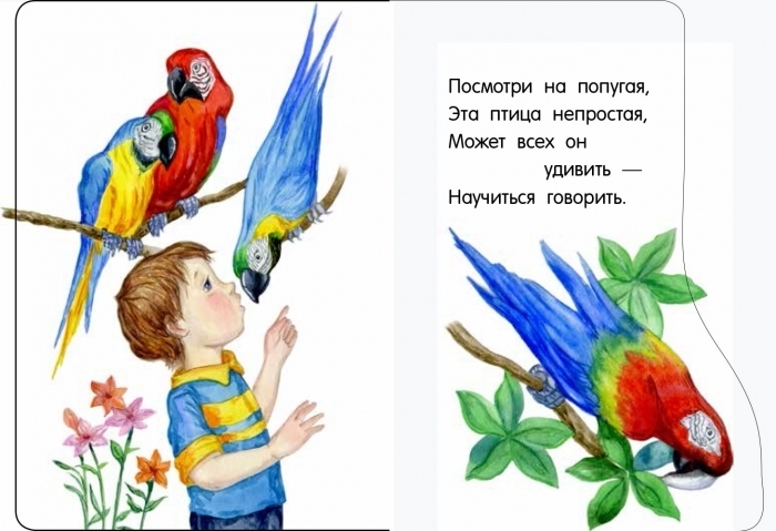 Картонна книжка „У зоопарку. Перші кроки“, Ранок