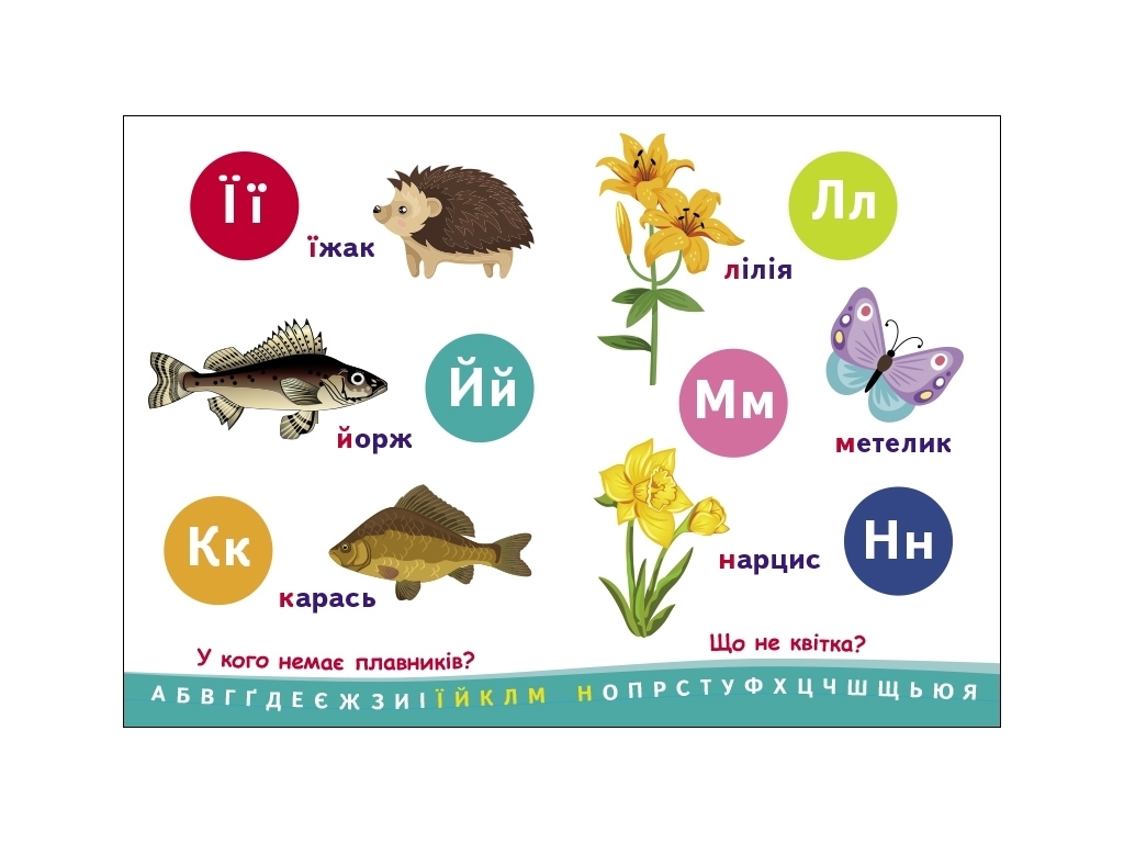 Познаватель Алфавит, Ранок
