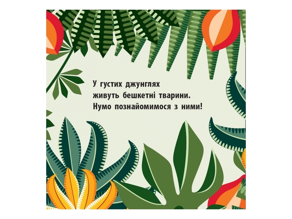 Книга "Команда джунглей", 3-4 г., Мадлен Роджерс, Ранок