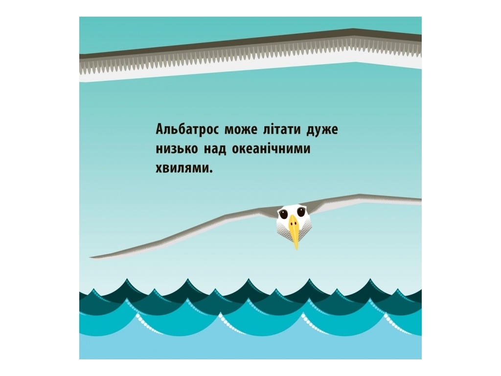 Книга "Воздушный экипаж", 2+, Мадлен Роджерс, Ранок