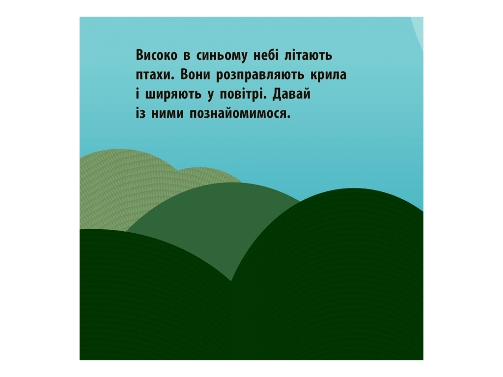 Книга "Воздушный экипаж", 2+, Мадлен Роджерс, Ранок
