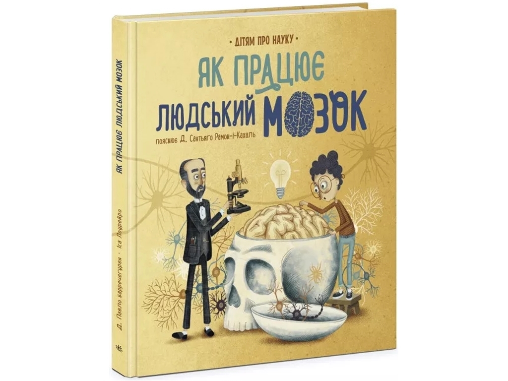 Про науку, Як працює людський мозок, Ранок