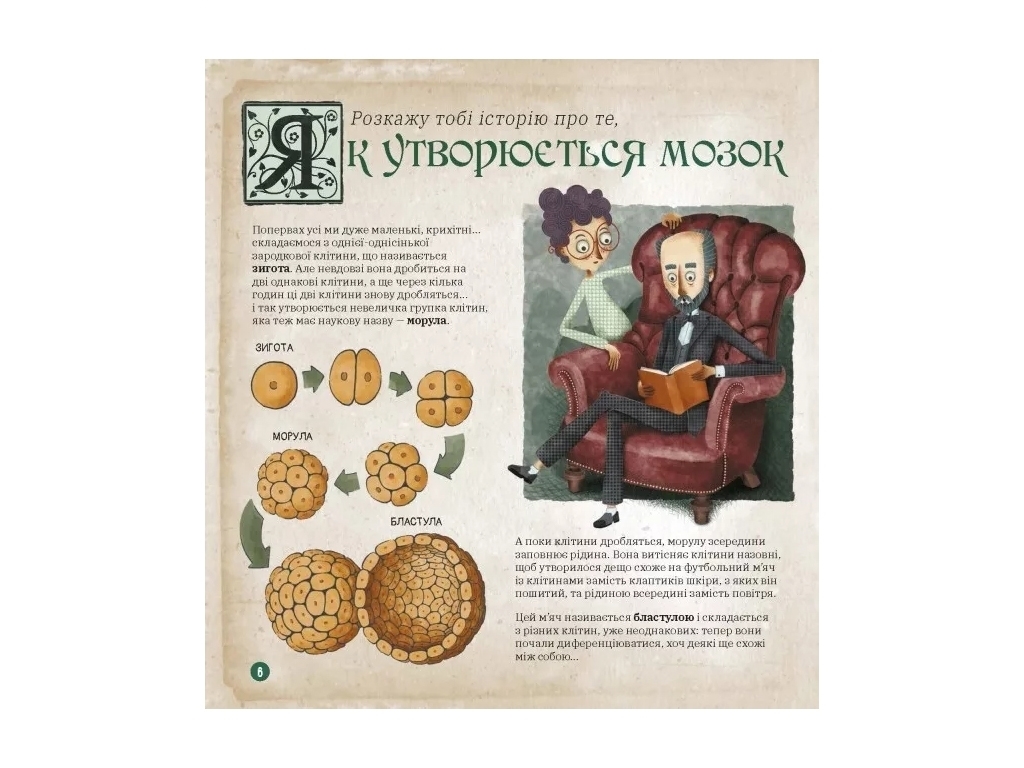 Про науку, Як працює людський мозок, Ранок
