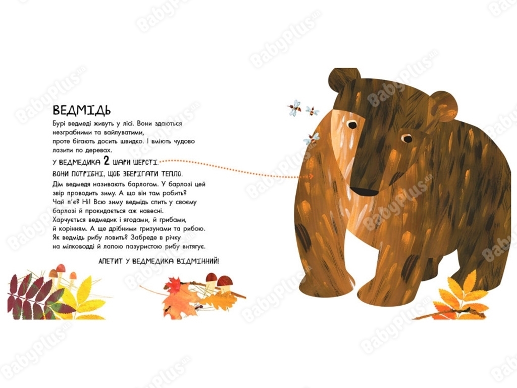 Книга-картинка «Эти удивительные животные», 3+, Ранок