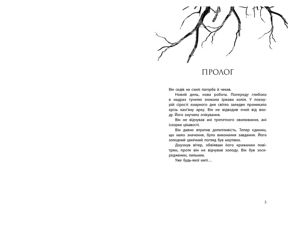 Роман "Проводник. Книга 1", 16+, К. Мак-Фолл, Readberry