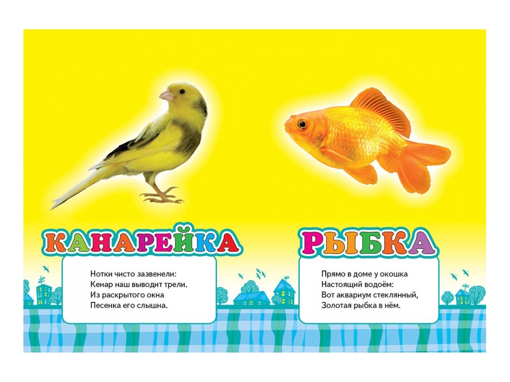 Книжка-картонка "Домашні улюбленці", серія Школа малюка, 0-3 роки, Пегас