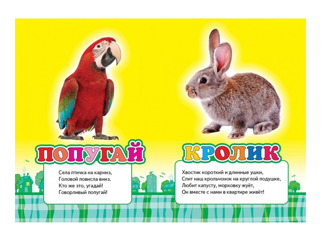 Книжка-картонка "Домашні улюбленці", серія Школа малюка, 0-3 роки, Пегас