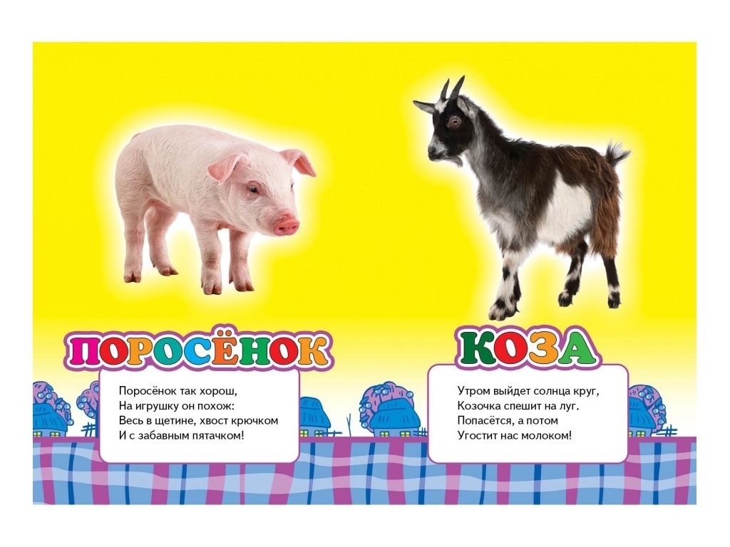 Книжка "В селі", серія Школа малюка, 0-3 роки, Пегас