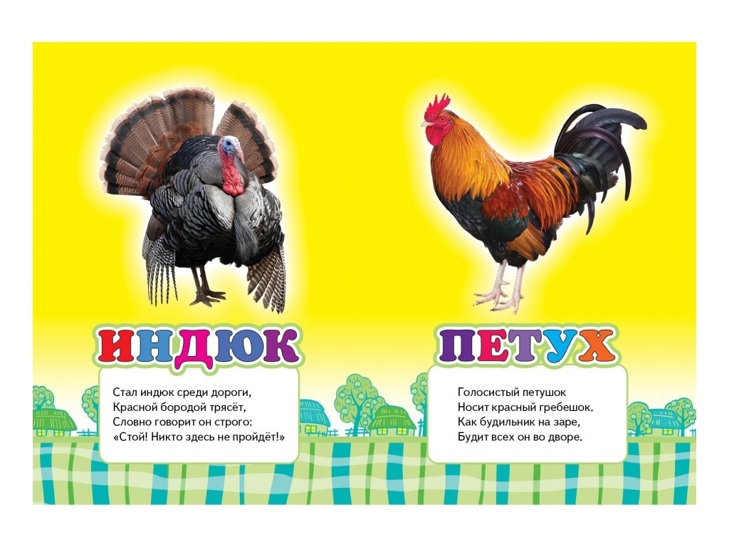 Книжка "В селі", серія Школа малюка, 0-3 роки, Пегас