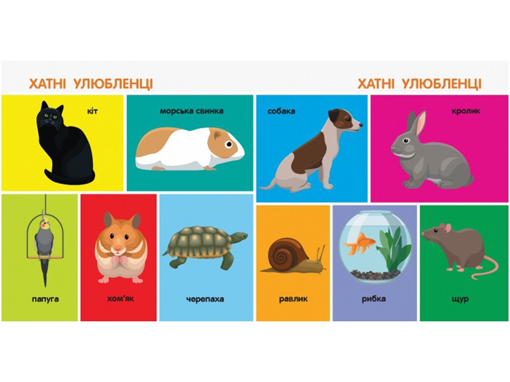 Книга "100 тварин", Катерина Трофимова, Ранок